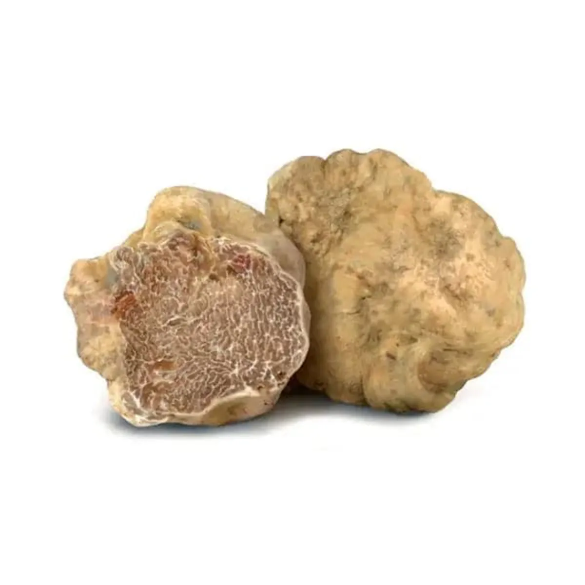 White Truffle - Image 2