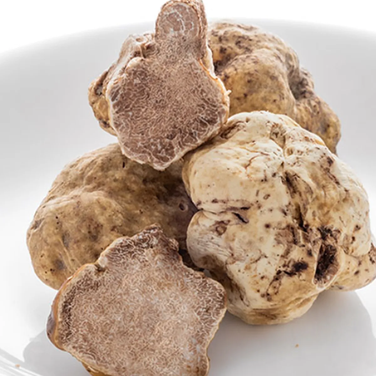 White Truffle - Image 3